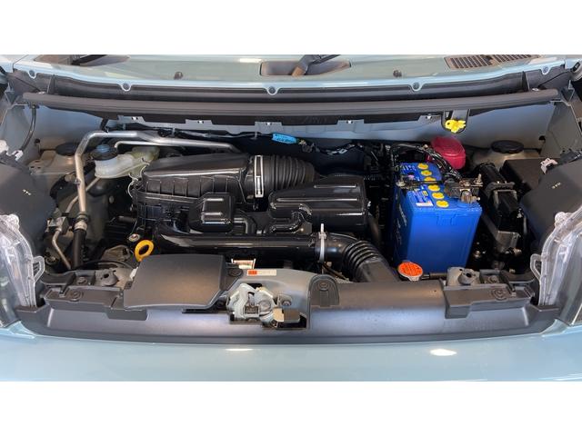 タフトＧＣＶＴ（茨城県）の中古車