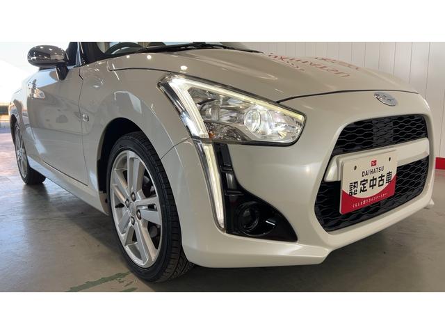 コペンローブ（茨城県）の中古車