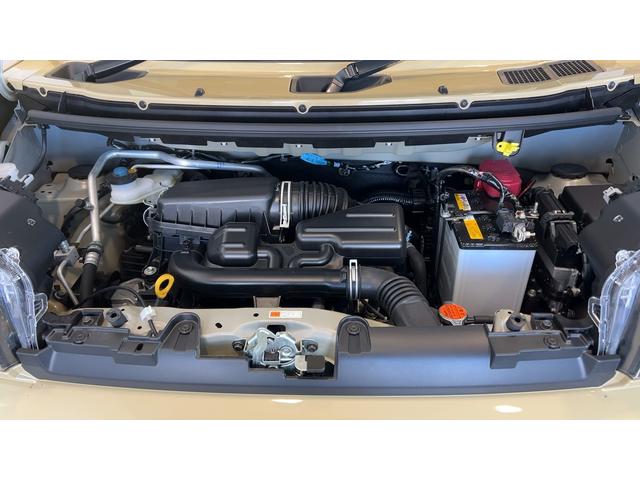 タフトＧ　クロムベンチャー（茨城県）の中古車