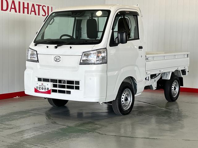 ハイゼットトラックスタンダード（茨城県）の中古車