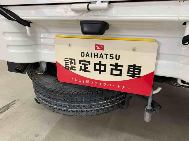 ハイゼットトラックエアコン・パワステスペシャルＶＳ　２ＷＤ幌付き（群馬県）の中古車