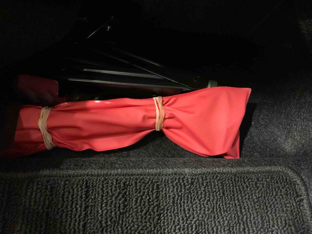 ロッキープレミアムG HEVLEDヘッドライト・ディスプレイオーディオ・パノラマモニター・ドラレコ・ETC・シートヒーター・スマートアシスト・プッシュボタンスタート・オートライト・オートマチックハイビーム・オートエアコン(群馬県)の中古車