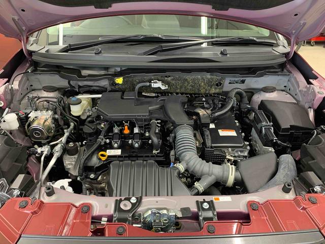 ロッキープレミアムＧ　ＨＥＶＬＥＤヘッドライト・バックカメラ・シートヒーター・スマートアシスト・プッシュボタンスタート・オートライト・オートマチックハイビーム・オートエアコン・電動格納式ドアミラー（群馬県）の中古車