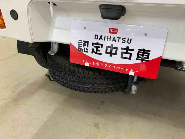 ハイゼットトラックスタンダード　農用スペシャル　４ＷＤ５速ＭＴ　キーレスエントリー　ＡＭＦＭラジオ　マニュアルエアコン　スマートアシスト　ＬＥＤヘッドライト　荷台作業灯（群馬県）の中古車
