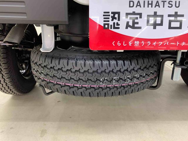 ハイゼットトラックスタンダード　農用スペシャル　４ＷＤオートライト・オートマチックハイビーム・ＡＭＦＭラジオ・キーレスエントリー・アイドリングストップ・マニュアルエアコン・スマートアシスト（群馬県）の中古車