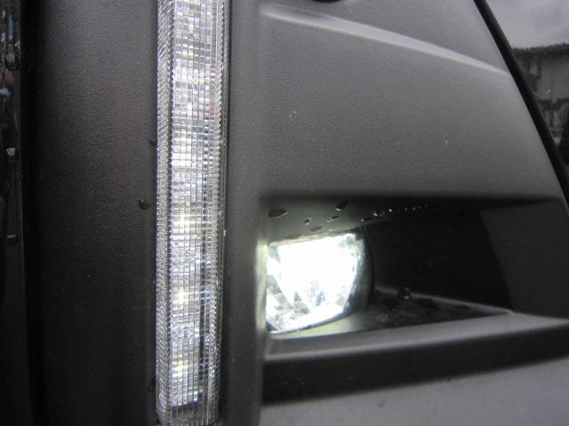 ロッキープレミアムＧ　ＨＥＶディスプレイオーディオ　バックカメラ　ＬＥＤヘッドライト　ＬＥＤフォグランプ　オートライト　運転席助手席シートヒーター　クルーズコントロール　電動パーキングブレーキ　オートブレーキホールド機能（栃木県）の中古車