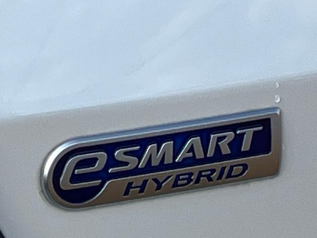 ロッキープレミアムＧ　ＨＥＶ　純正ナビ　ＥＴＣ　ドライブレコーダー保証　新車保証・まごころ保証　１年間・走行距離無制限付き　純正ナビ　ＥＴＣ車載器　ドライブレコーダー　アダプティブクルーズコントロール　ＬＥＤヘッドランプ　前席シートヒーター　キーフリーシステム（東京都）の中古車