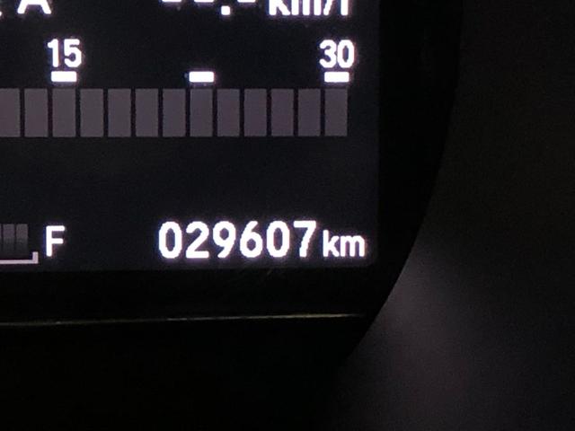 グレイスＬＸ　車検整備付／走行距離２９６０７キロ／フルセグナビ１年保証距離無制限　走行距離２９６０７キロ　車検整備付　フルセグナビ　バックカメラ　デジタルルームミラー　純正マット　サイドエアバッグ　ＬＥＤヘッドランプ　アイドリングストップ（埼玉県）の中古車