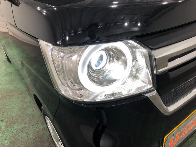Ｎ−ＢＯＸＬ　走行２６８０キロ／ナビ／ドラレコ／ＬＥＤヘッドライト一年保証・走行距離無制限　走行２６８０キロ　フルセグナビ　ブルートゥース　バックカメラ　ドラレコ　クリアランスソナー　オートライト　ＬＥＤヘッドライト　ベンチシート（埼玉県）の中古車
