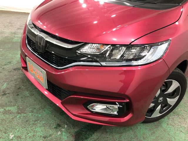 フィットハイブリッドＦ　走行１６６７４キロ／ナビ／バックカメラ／ＥＴＣ一年保証・走行距離無制限　走行１６６７４キロ　ワンセグナビ　ブルートゥース　バックカメラ　オートライト　ＬＥＤヘッドライト　ＥＴＣ（埼玉県）の中古車