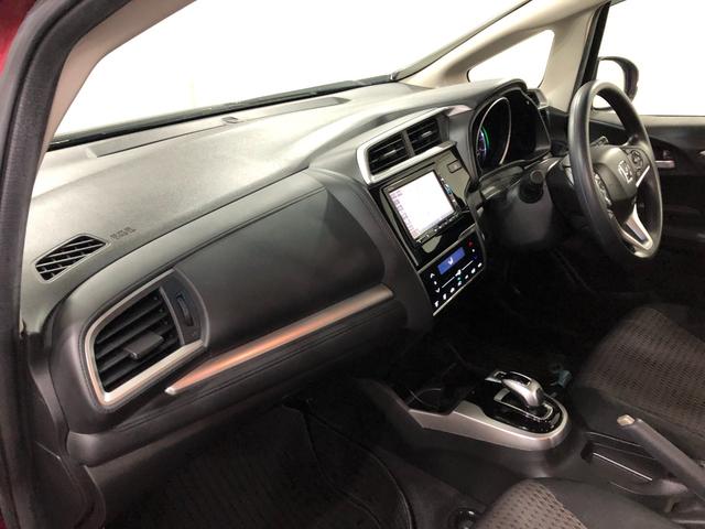 フィットハイブリッドＦ　走行１６６７４キロ／ナビ／バックカメラ／ＥＴＣ一年保証・走行距離無制限　走行１６６７４キロ　ワンセグナビ　ブルートゥース　バックカメラ　オートライト　ＬＥＤヘッドライト　ＥＴＣ（埼玉県）の中古車