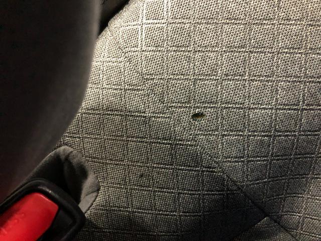 タントＸ　走行４６８４２キロ／純正フルセグナビ／Ｂカメラ／ドラレコ１年保証距離無制限　走行距離４６８４２キロ　純正フルセグナビ　バックカメラ　ドラレコ　純正マット　サイドエアバッグ　ＬＥＤヘッドランプ　アイドリングストップ　シートヒーター　片側電動スライドドア（埼玉県）の中古車