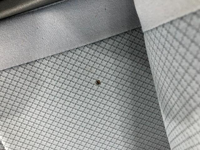 ハイゼットカーゴＤＸ　５ＭＴ／走行１００９１３キロ／車検整備付／タバコ焦穴有保証一年間・距離無制限付　５速マニュアル　スペアキー　キーレスエントリー　ゴムマット　純正ラジオ　スモークガラス（埼玉県）の中古車