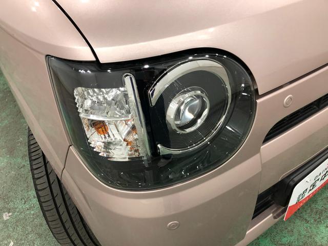 ミラトコットＧ　ＳＡIII　走行１５４９９キロ／フルセグナビ／ドラレコ１年保証距離無制限　走行距離１５４９９キロ　フルセグナビ　パノラマモニター　ドラレコ　純正マット　サイドエアバッグ　ＬＥＤヘッドランプ　アイドリングストップ　シートヒーター　オート格納式ドアミラー（埼玉県）の中古車