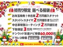 １年保証距離無制限　車検整備付　走行距離５０３８４キロ　ドライブレコーダー　純正カーペットマット　バイザー　ＥＴＣ　片側電動スライドドア　プッシュボタンスタート（埼玉県）の中古車