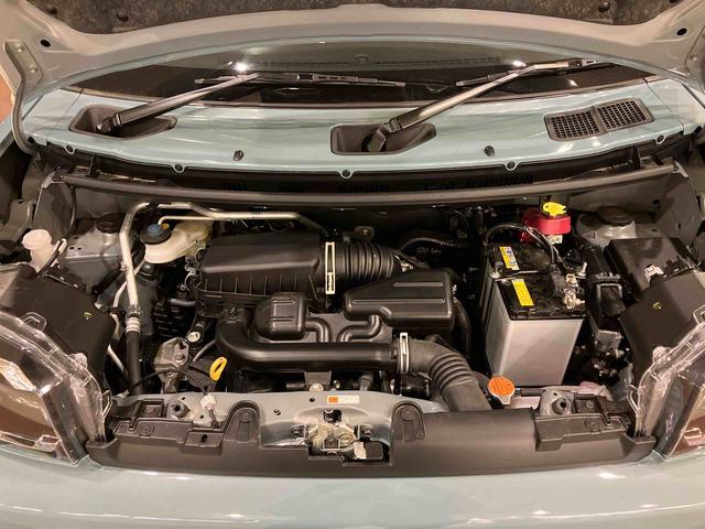 タフトＧ（千葉県）の中古車