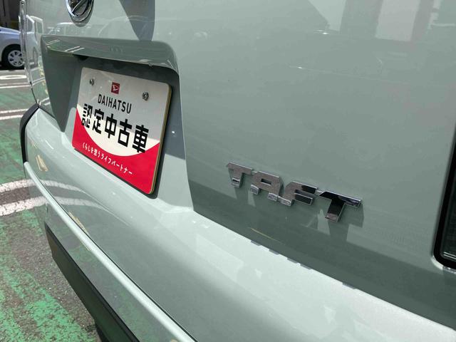タフトＧターボ　クロムベンチャー（千葉県）の中古車