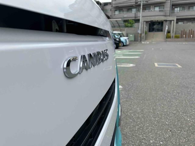 ムーヴキャンバスセオリーＧ（千葉県）の中古車
