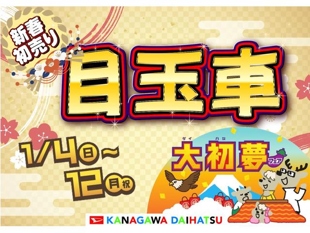 タフトＧターボサポカーＳワイド適合　ドラレコ　スカイフィールトップ　電動パーキングブレーキ　全車速追従機能付ＡＣＣ　ディスプレイオーディオ　ステアリングスイッチ　シートヒーター　ＵＳＢ接続端子　コーナーセンサー（神奈川県）の中古車