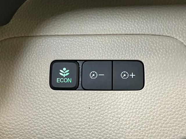 N−BOXG・Lホンダセンシング衝突被害軽減ブレーキシステム ドラレコ 両側オートスライドドア Bカメラ ステアリングスイッチ クルーズコントロール USB接続端子 ETC 電動格納ミラー キーフリー(神奈川県)の中古車