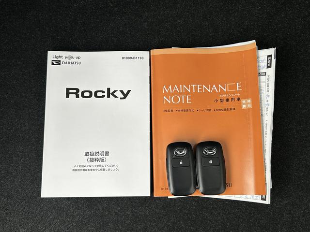 ロッキープレミアム（東京都）の中古車