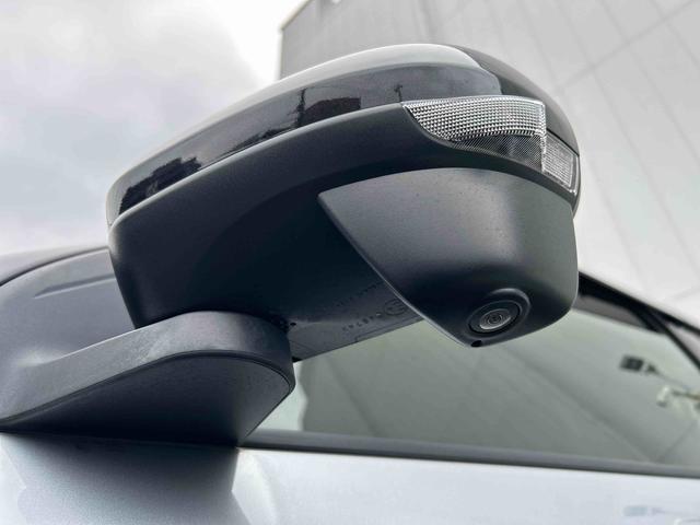 ロッキープレミアム　純正ナビ　ＥＴＣ車載器　クルーズコントロール保証１年間距離無制限付き　ＵＳＢ電源ソケット　ＥＴＣ　パノラマモニター　純正ナビゲーション　キーフリーシステム　アルミホイール　Ｂｌｕｅｔｏｏｔｈ接続　オートライト　ラゲージアンダートランク（東京都）の中古車