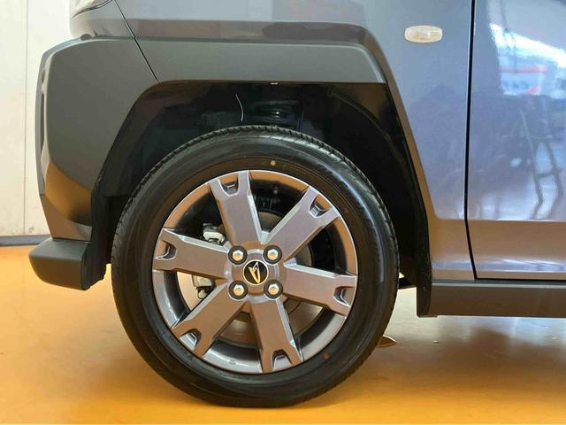 タフトＧターボガラスルーフトップ　アダプティブクルーズコントロール　前席シートヒーター　チルトステアリング　運転席シートリフター　ホールド機能付き電動パーキングブレーキ　オートライト　オートハイビーム（千葉県）の中古車