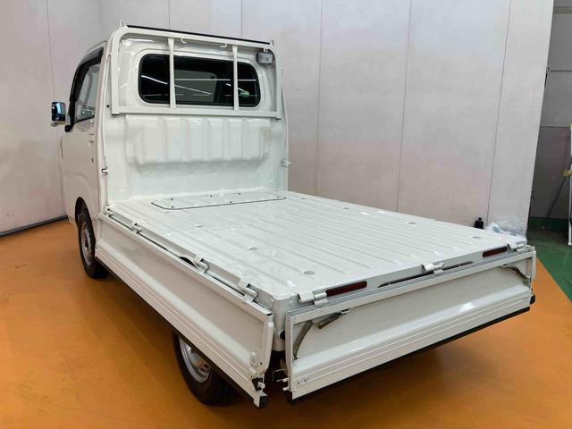 ハイゼットトラックエクストラ　４ＷＤＣＤラジオチューナー　ＡＵＸ接続　フォグランプ　大型荷台作業灯　キー照明　テールゲートチェーン　ゲートプロテクター　ガードフレームプロテクター　パワーウインドウ　助手席シートバックポケット（千葉県）の中古車
