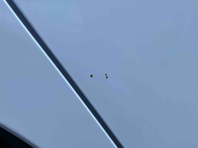 ミライースX スマートセレクションSAナビ/BT/DTV/CD/DVD/バックカメラ 14インチアルミ メッキグリル 電動格納ドアミラー キーレスエントリー プライバシーガラス リヤシートヘッドレスト 横滑り防止装置 衝突被害軽減ブレーキ(千葉県)の中古車