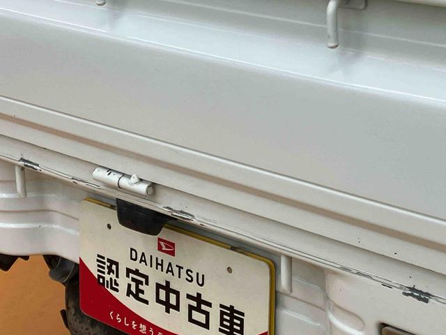 ハイゼットトラック農用スペシャル荷台作業灯　テールゲートチェーン　ゲートプロテクター　リヤ４枚リーフスプリング　ショッピングフック　マニュアルレベリング機能付ハロゲンヘッドライト　灰皿＋シガーライター　ロングバイザー　ラバーマット（千葉県）の中古車