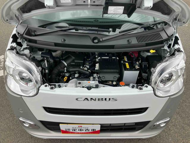 ムーヴキャンバスストライプスＧターボ両側電動スライドドア　ＬＥＤヘッドライト＆フォグランプ　シートヒーター　保温カップホルダー　電動駐車ブレーキ　バックカメラ　ステアリングスイッチ　自動追従クルコン　衝突被害軽減ブレーキ（千葉県）の中古車