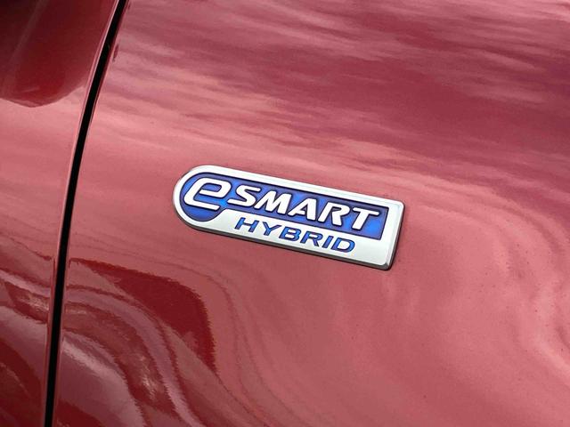 ロッキープレミアムＧ　ＨＥＶハイブリッド　９型ナビ／ＴＶ／ＤＶＤ／ＢＴ／ＵＳＢ　全周囲カメラ　前後ドラレコ　ＥＴＣ　全車速追従クルコン　ＡＤＢ　ＬＥＤヘッドライト　オートライト　コーナーセンサー　シートヒーター　リヤフォグランプ（千葉県）の中古車