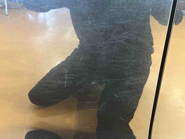 タントＸターボ　ＳＡIII８型ナビ／ＢＴ／ＴＶ／ＤＩＳＣ／バックカメラ／ステアリングスイッチ　前ドラレコ　助手席側パワスラ　前メッキガーニッシュ　スマートキー　運転席シートヒーター　オート格納ドアミラー　衝突被害軽減ブレーキ（千葉県）の中古車