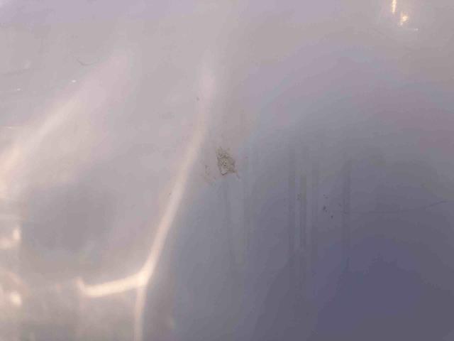 ミライースGETC CDチューナー 14インチアルミ メッキグリル ターンランプ付き電動格納ドアミラー 自発光式デジタルメーター オートエアコン キーレス サイドエアバッグ 横滑り防止装置 アイドリングストップ(千葉県)の中古車