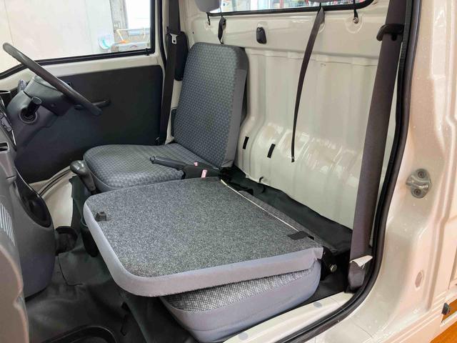 ハイゼットトラックエアコン・パワステ　スペシャル荷台ゴムマット　ゲートプロテクター　テールゲートチェーン　スピーカー一体型ＦＭ．ＡＭラジオチューナー　マニュアルレベリング機能付ハロゲンヘッドライト　灰皿＋シガーライター　ショッピングフック（千葉県）の中古車