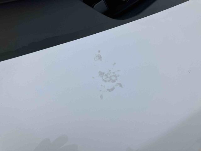 ムーヴキャンバスストライプスＧターボ両側電動スライドドア　ＬＥＤヘッドライト＆フォグランプ　シートヒーター　保温カップホルダー　電動駐車ブレーキ　バックカメラ　ステアリングスイッチ　自動追従クルコン　衝突被害軽減ブレーキ（千葉県）の中古車