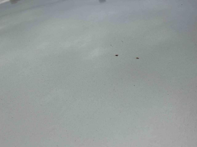 キャストスタイルＧ　ＳＡIIナビ／ＴＶ／ＤＶＤ／ＢＴ／ＵＳＢ　Ｂカメラ　ＥＴＣ　ＬＥＤヘッドライト　オートライト　スマアシ　オートエアコン　革巻きステアリング　ステリモ　キーフリー　プッシュスタート　アルミホイール　盗難防止警報（千葉県）の中古車