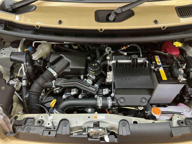 タフトＧターボ　ダーククロムベンチャースカイフィールトップ　衝突回避支援システム　横滑り防止装置　アダプティブクルーズコントロール　前席シートヒーター　ホールド機能付き電動パーキングブレーキ　前後コーナーセンサ　助手席シートアンダートレイ（千葉県）の中古車