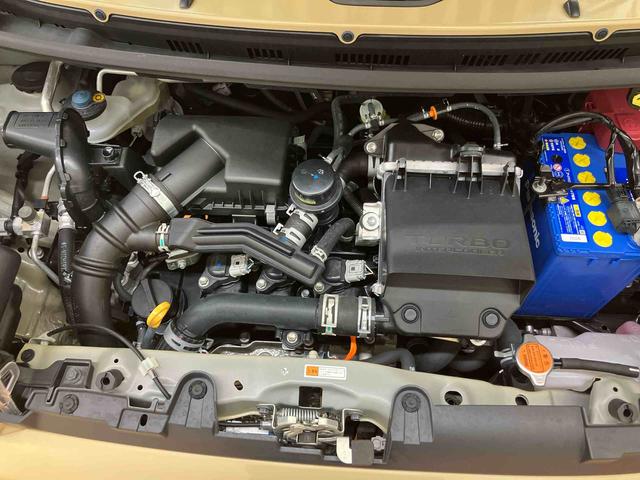 タフトＧターボスカイフィールトップ　専用ルーフキャリア　スマホ連携９インチディスプレイオーディオ　ＵＳＢ接続　ブルートゥース　バックカメラ　アダプティブクルーズコントロール　専用ホイール　ホワイトレジスターパネル（千葉県）の中古車