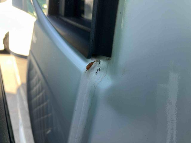 タントカスタムＸセレクションＥＴＣ　ドラレコ　バックカメラ　両側電動スライドドア　１４インチアルミ　ＬＥＤヘッド＆フォグ　シートヒーター　シートバックテーブル　運転席ロングスライド　コーナーセンサー　衝突被害軽減ブレーキ（千葉県）の中古車