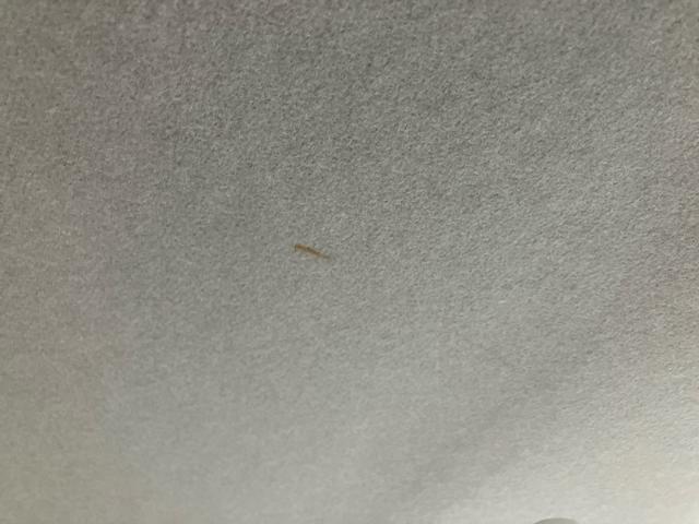 ムーヴＬ　ＳＡアイドリングストップ　キーレスエントリー　盗難防止アラーム　ハロゲンヘッドランプ　マニュアルエアコン　スモークガラス　足踏み式駐車ブレーキ　電動格納ドアミラー　リヤワイパー　チルトステアリング（千葉県）の中古車