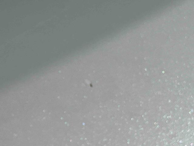 ムーヴキャンバスGメイクアップ SAIII8型ナビ/TV/DVD/BT/USB 全周囲カメラ ETC LEDヘッドライト オートライト オートハイビーム スマアシ 両側電動スライドドア オートエアコン キーフリー 盗難防止アラーム ステリモ(千葉県)の中古車