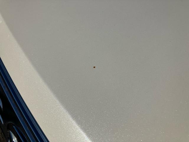 ムーヴX SAIIIナビ/TV/BT/USB/DVD バックカメラ ドラレコ 運転席シートヒーター トップシェイドガラス アルミホイール オートライト オートハイビーム スマアシ ステリモ キーフリー 盗難防止アラーム(千葉県)の中古車