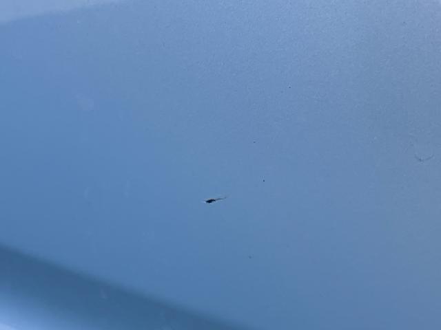 ミラココアココアＬＣＤ／ラジオ　ＥＴＣ　アイドリングストップ　キーレスエントリー　盗難防止アラーム　シートリフター　チルトステアリング　スペアタイヤ　足踏み式パーキングブレーキ　電動格納ドアミラー　マニュアルエアコン（千葉県）の中古車