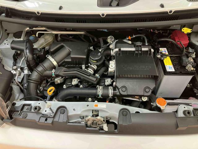 タフトＧターボ　４ＷＤバックカメラ連動フルセグナビ　ＵＳＢ接続　ブルートゥース対応　フロント．リヤドライブレコーダー連動　ＴＶナビキット　ＥＴＣ　バックドアスポイラー　セキュリティアラーム　アダプティブクルーズコントロール（千葉県）の中古車