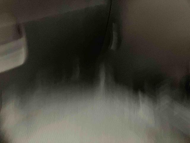 ミライースＬ横滑り防止装置　アイドリングストップ　マニュアルレベリング機能付ハロゲンヘッドライト　オートライト　オートハイビーム　キーレスエントリー　ショッピングフック　カーペットマット（千葉県）の中古車