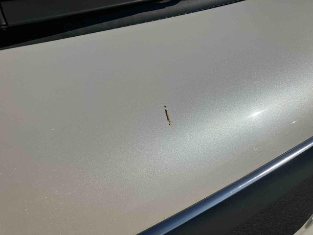 ハイゼットカーゴクルーズターボリミテッド４ＷＤ　ナビ／ＢＴ／ＴＶ／ＣＤ／ＤＶＤ　前ドラレコ　ＥＴＣ　フロントメッキグリル　トップシェイドガラス　ＬＥＤ荷室灯　電動格納ドアミラー　キーレスエントリー　パワーウインドウ　オーバーヘッドシェルフ（千葉県）の中古車