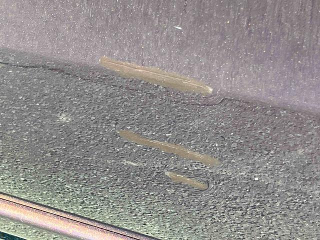 ムーヴL SAIIIナビ/TV/BT/USB/DVD バックカメラ トップシェイドガラス 衝突被害軽減ブレーキ 横滑り防止装置 ハロゲンヘッドライト オートハイビーム ステアリモコン キーレスエントリー 盗難防止アラーム(千葉県)の中古車