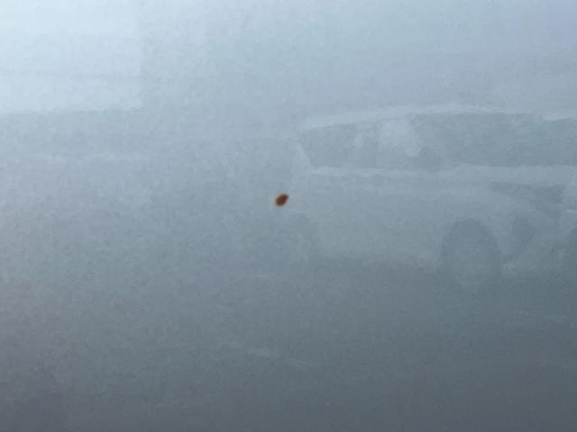 タントＸスペシャルナビ／ＴＶ／ＤＶＤ／ＢＴ／ＵＳＢ　バックカメラ　前後ドラレコ　ＬＥＤヘッドランプ　オートライト　オートハイビーム　両側スライドドア　前後コーナーセンサー　足踏み式駐車ブレーキ　ステリモ　キーフリー（千葉県）の中古車