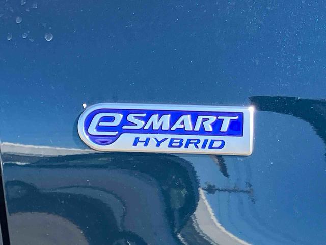 ロッキープレミアムＧ　ＨＥＶ９型ナビ／ＴＶ／ＤＶＤ／ＢＴ／ＵＳＢ　全周囲カメラ　前後ドラレコ　ＥＴＣ　全車速追従クルコン　ＬＥＤヘッドランプ　リヤフォグ　コーナーセンサー　シートヒーター　革ステ　電動駐車ブレーキ　アルミ（千葉県）の中古車